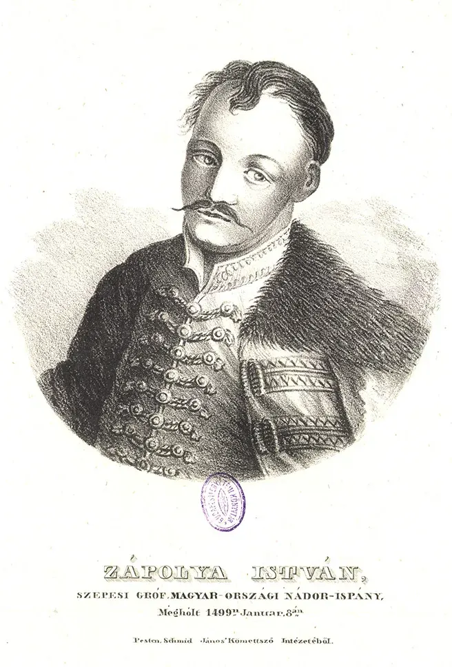 The Stephen Zápolya card