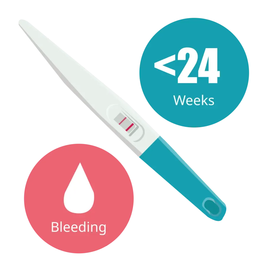 The Early pregnancy bleeding card