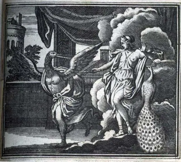 The Antigone card
