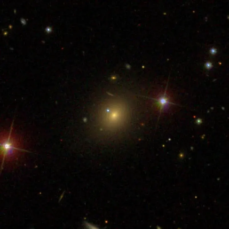 The NGC 445 card