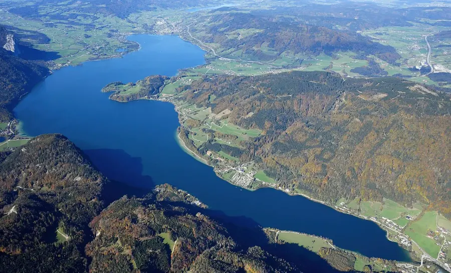 The Mondsee card