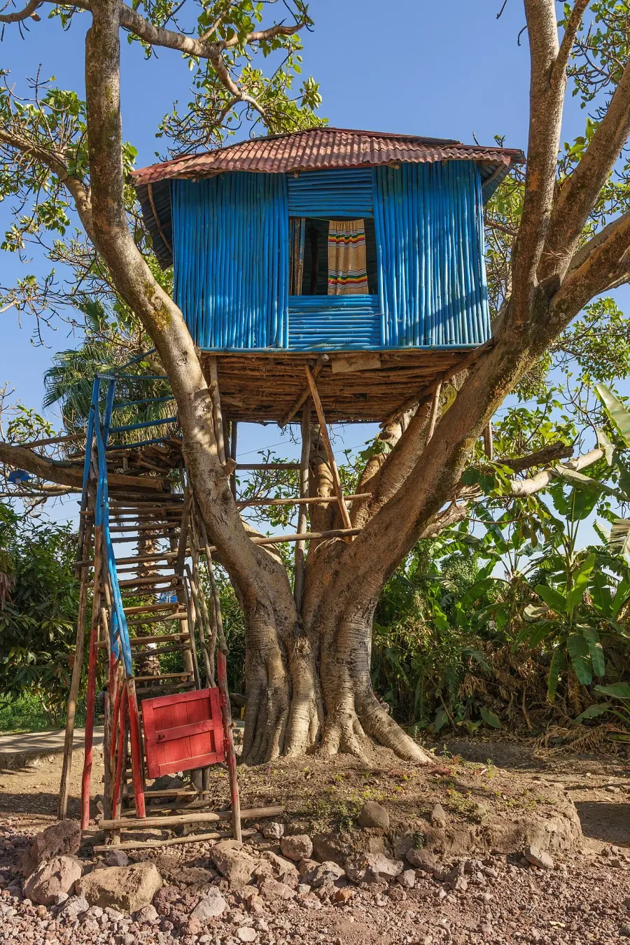 The Tree house card