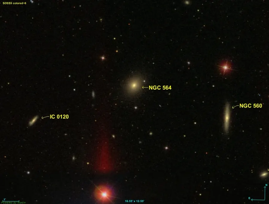 La carte NGC 564