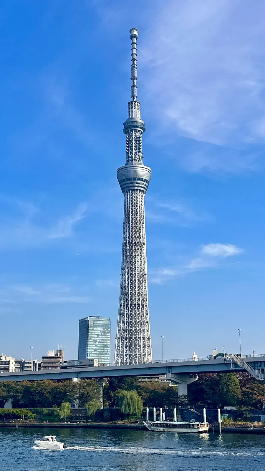 The Tokyo Skytree card