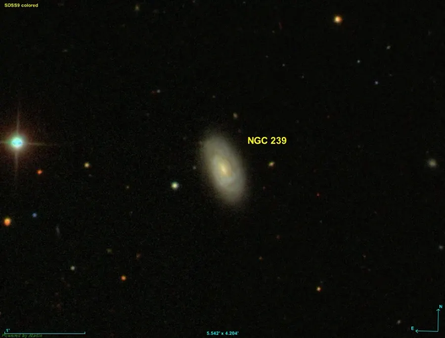 The NGC 239 card