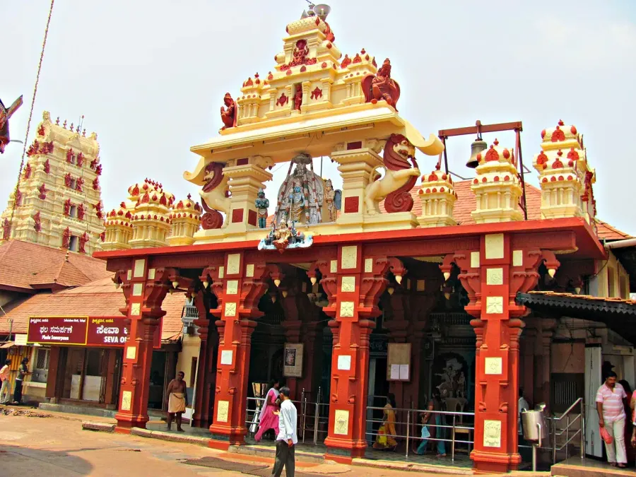 The Udupi card