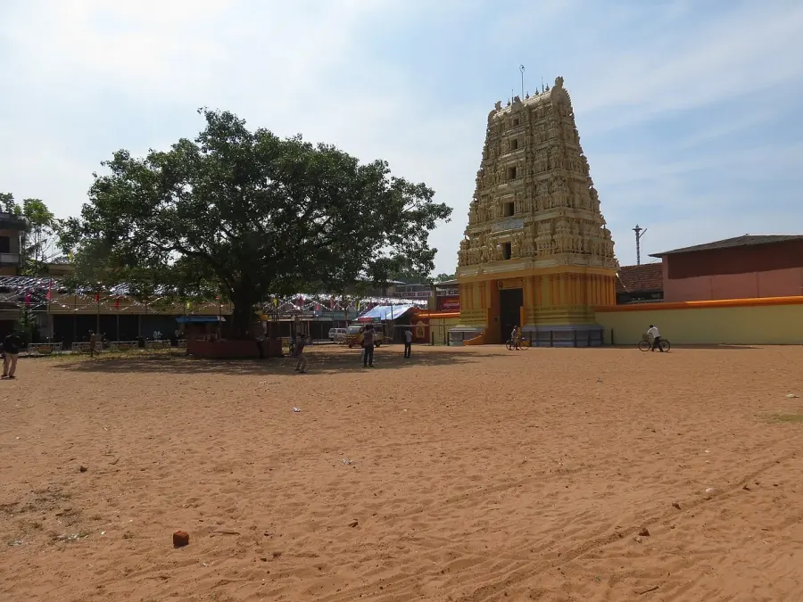 The Alappuzha card