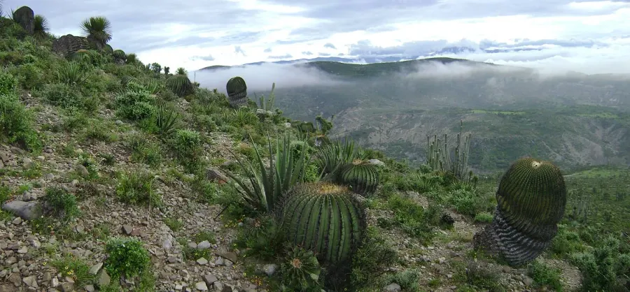 La carte Réserve de biosphère Tehuacán-Cuicatlán