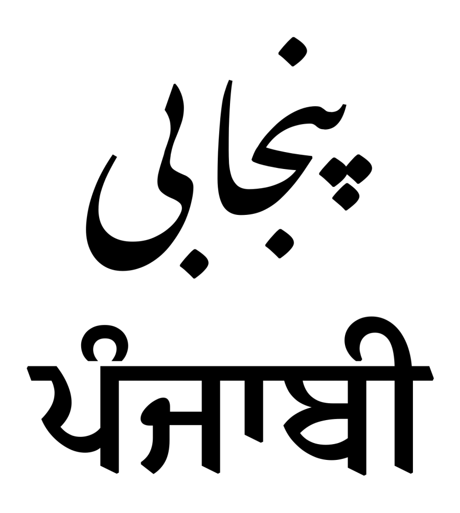 The Punjabi language card