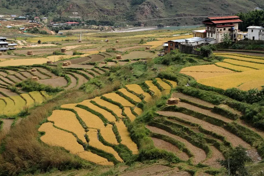 The Punakha District card