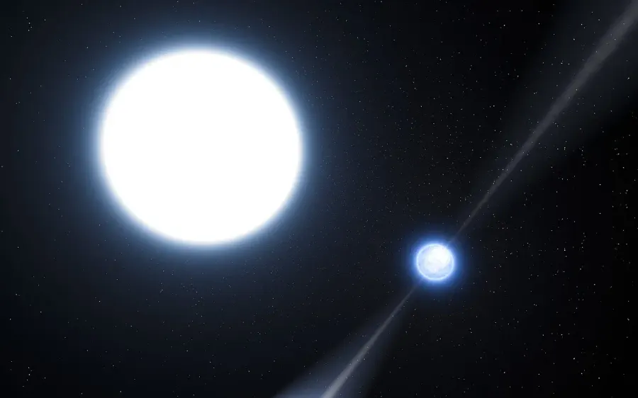 The White dwarf card