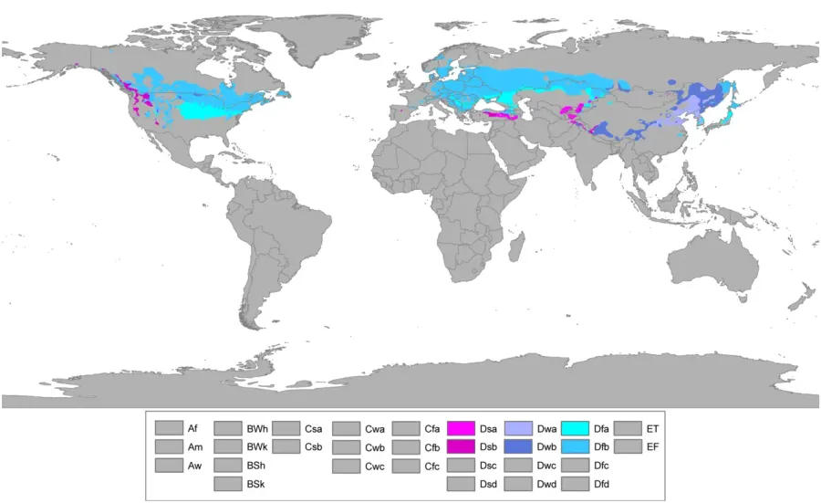 La carte Climat continental humide