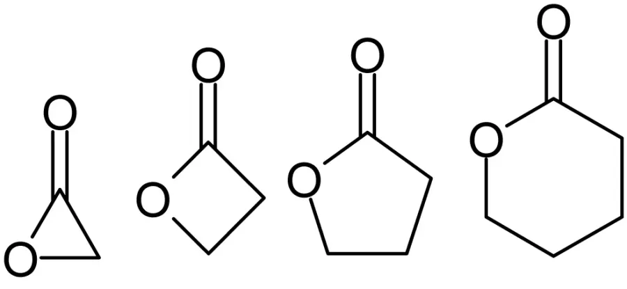 La carte Lactone