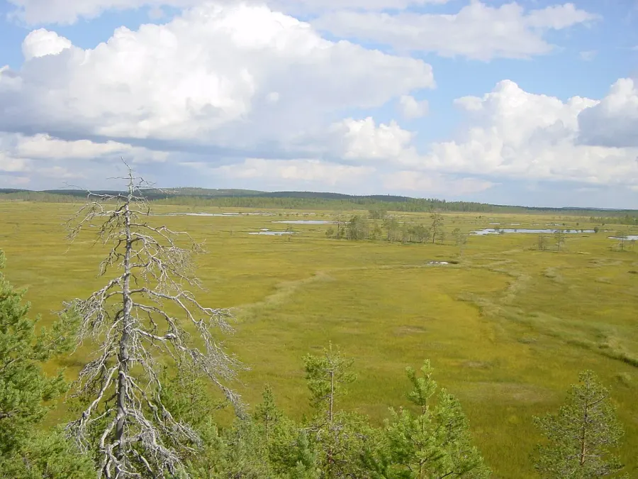 The Patvinsuo National Park card