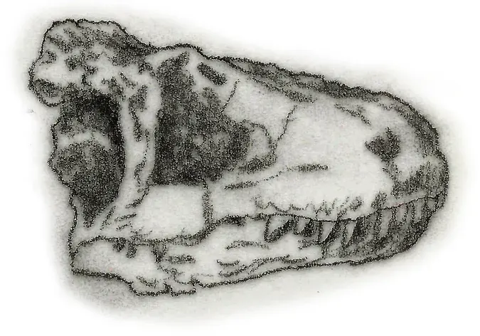 The Lukousaurus card