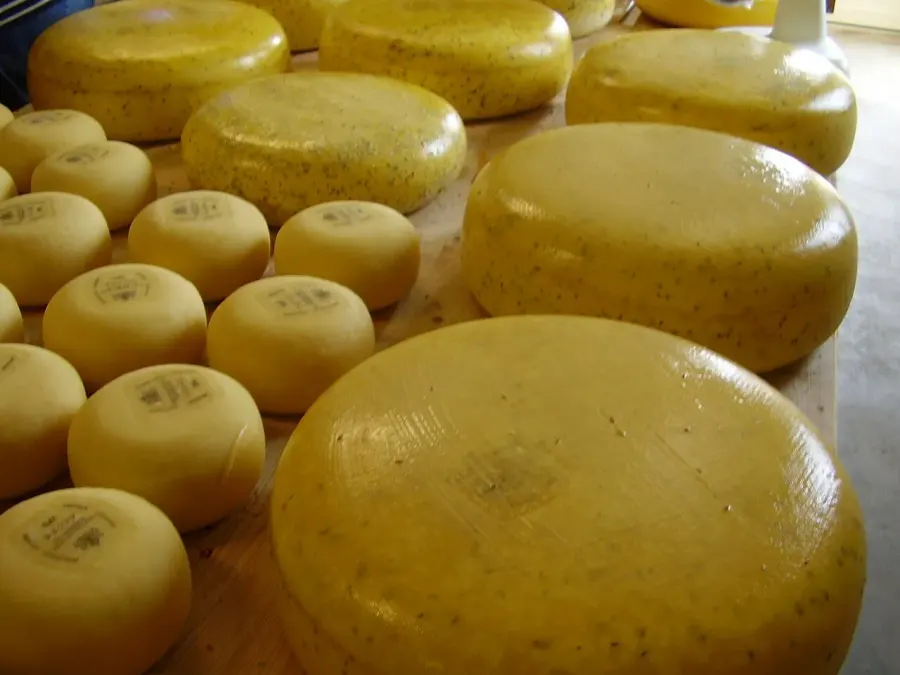 La carte Gouda