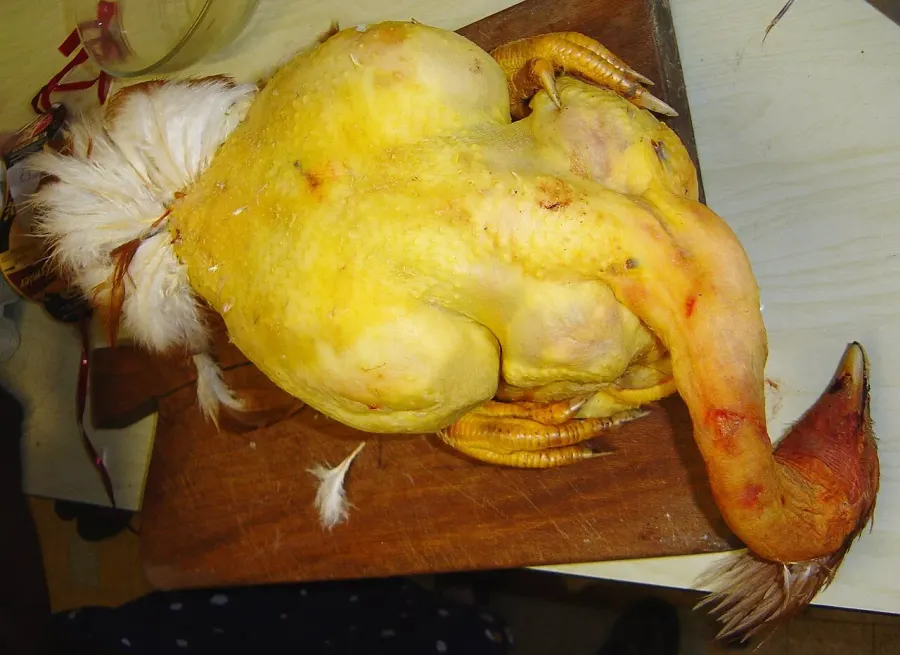 La carte Chapon