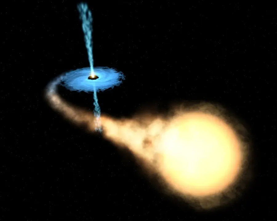 The X-ray binary card