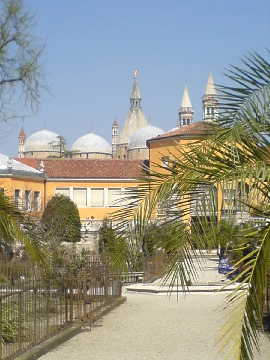 La carte Jardin botanique de Padoue