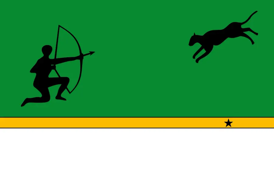 La carte Drapeau du département d'Amazonas