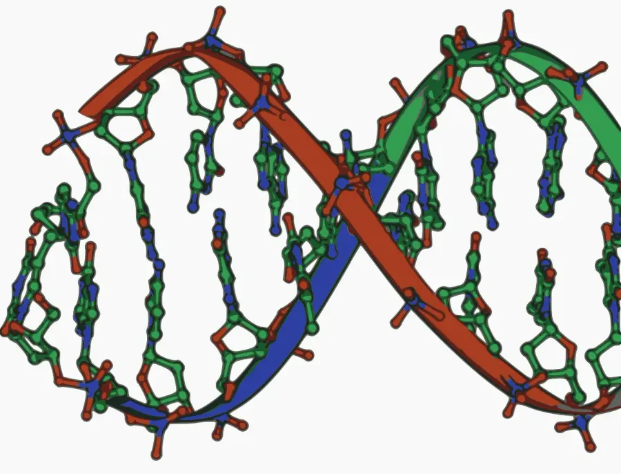 The Nucleic acid double helix card
