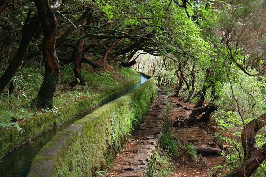 La carte Levada