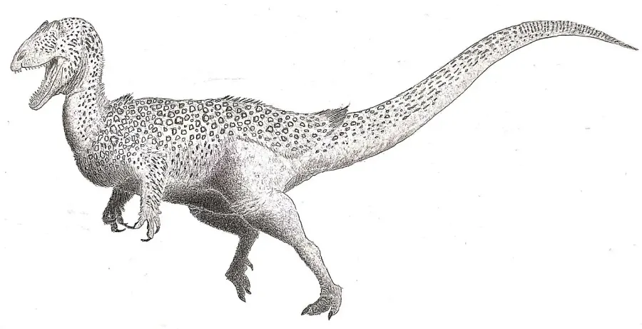 La carte Dracovenator