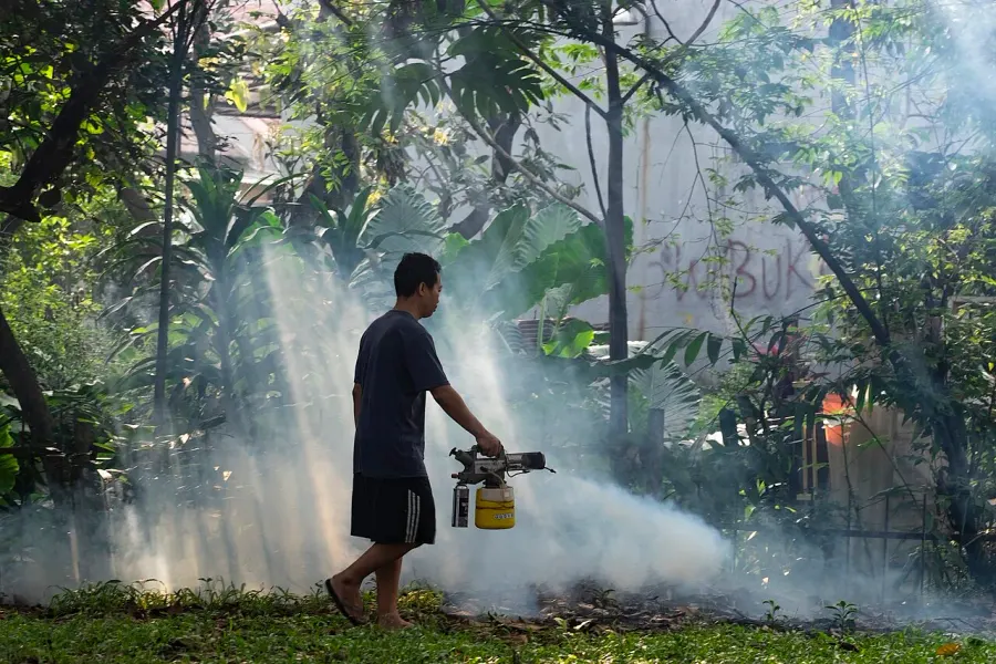 La carte Fumigation