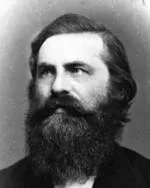 The Johannes Wislicenus card