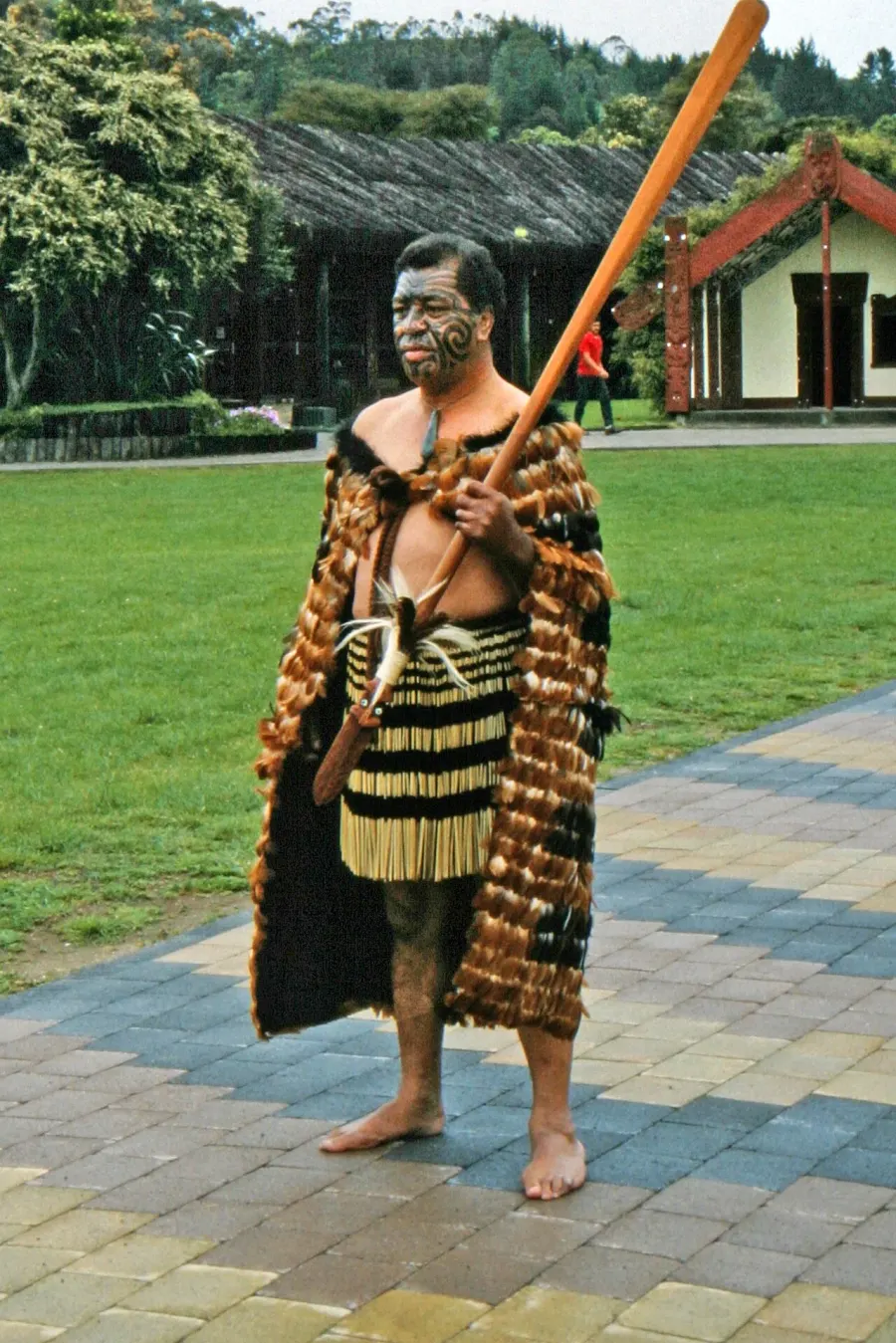 La carte Maoris