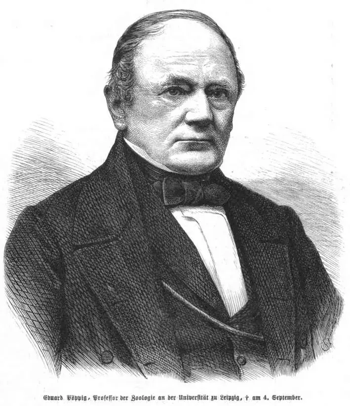 The Eduard Friedrich Poeppig card