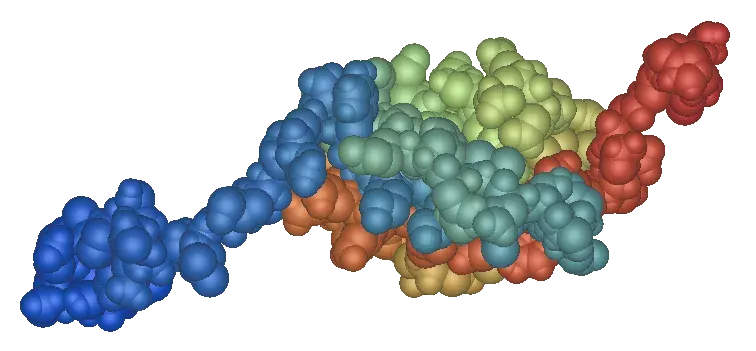 The SUMO protein card