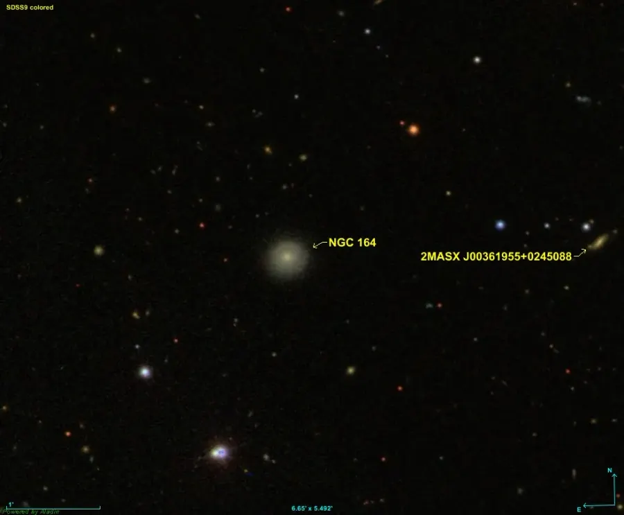 La carte NGC 164
