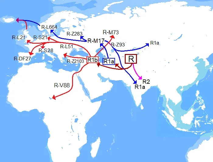 La carte Haplogroupe R