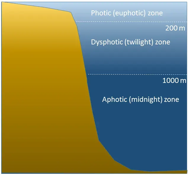 La carte Zone aphotique