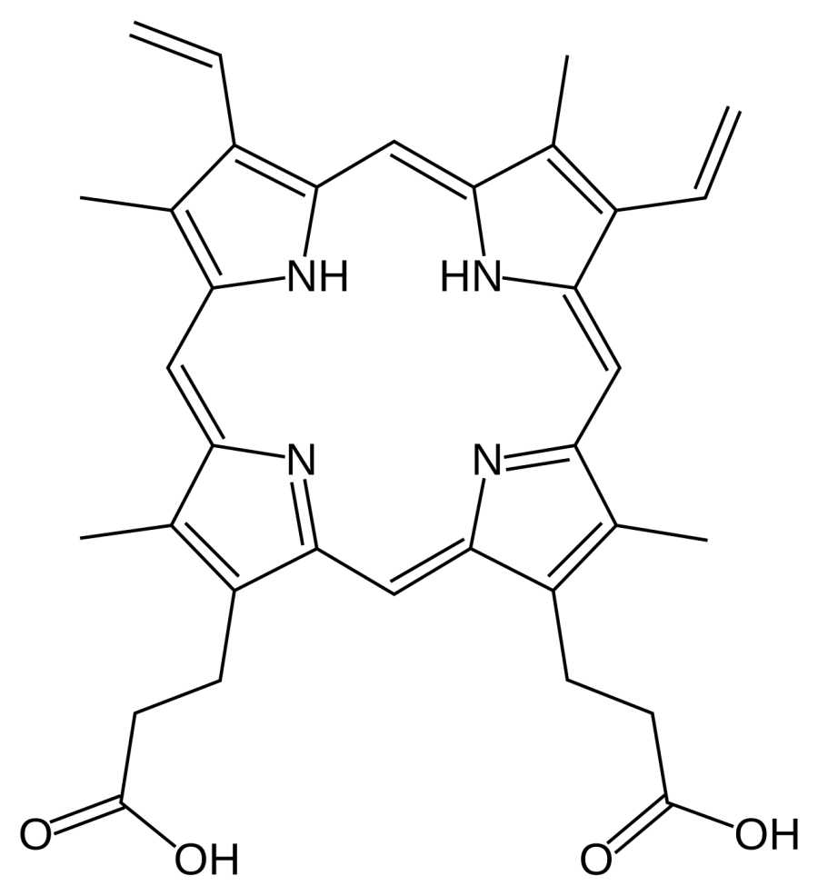 La carte Protoporphyrine IX