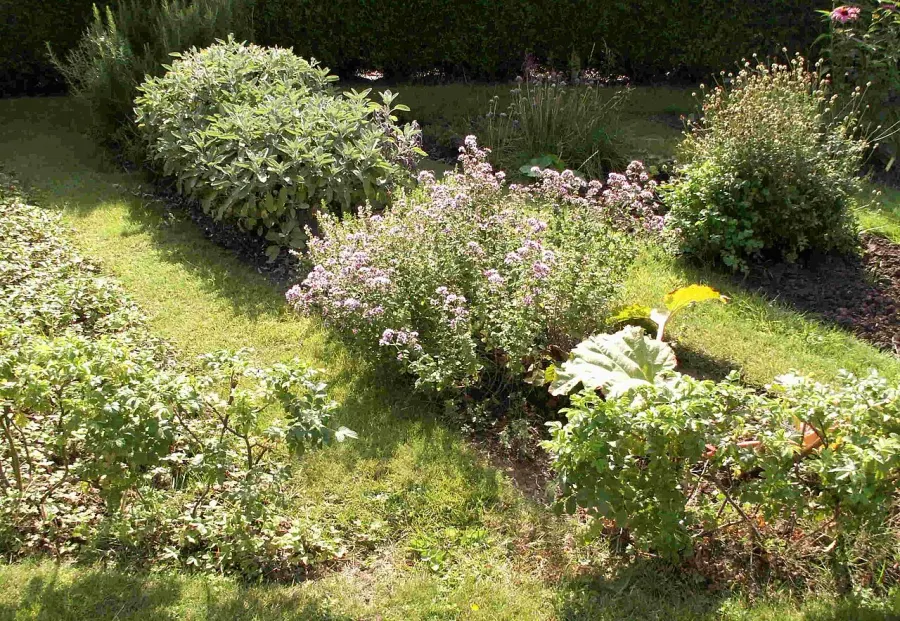 La carte Jardin potager