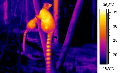 The Thermography card