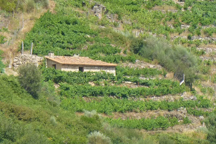 La carte Ribeira Sacra