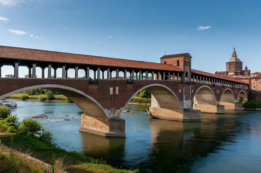 The Pavia card