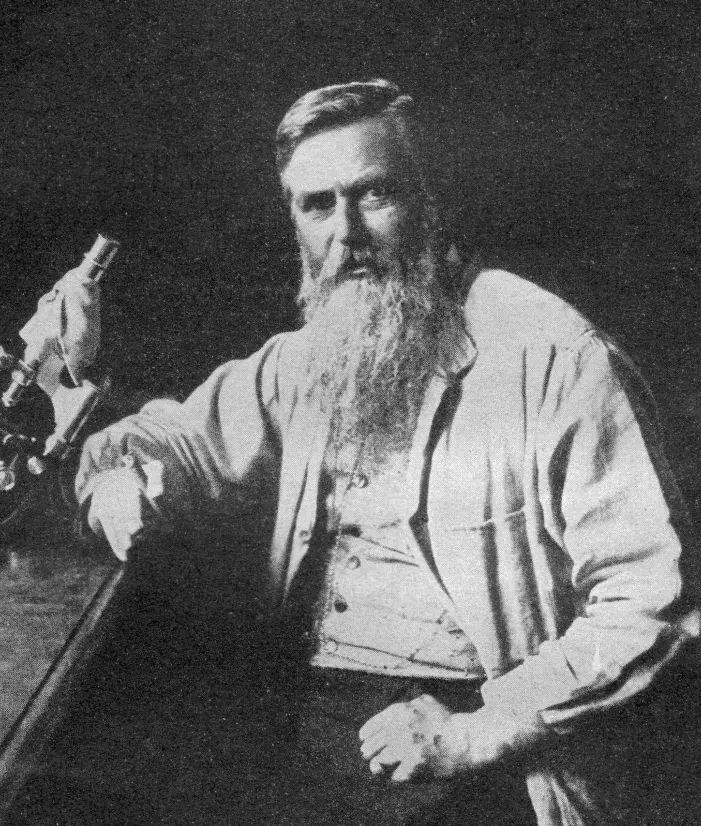 The Otto Bütschli card