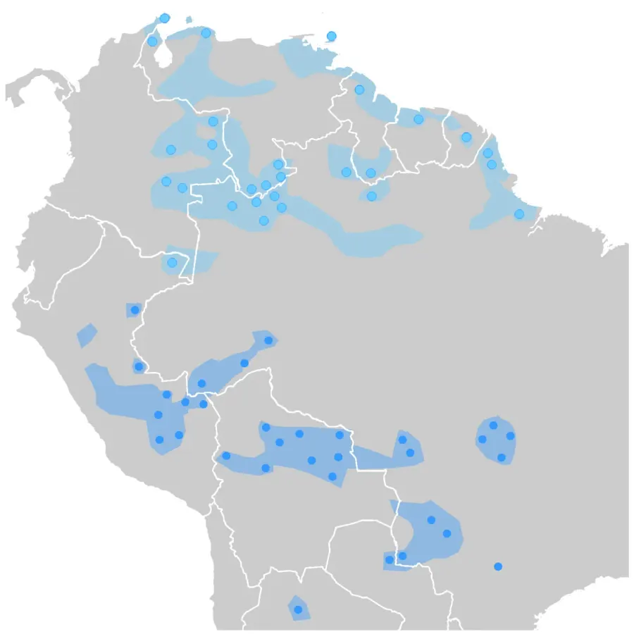 The Arawakan languages card