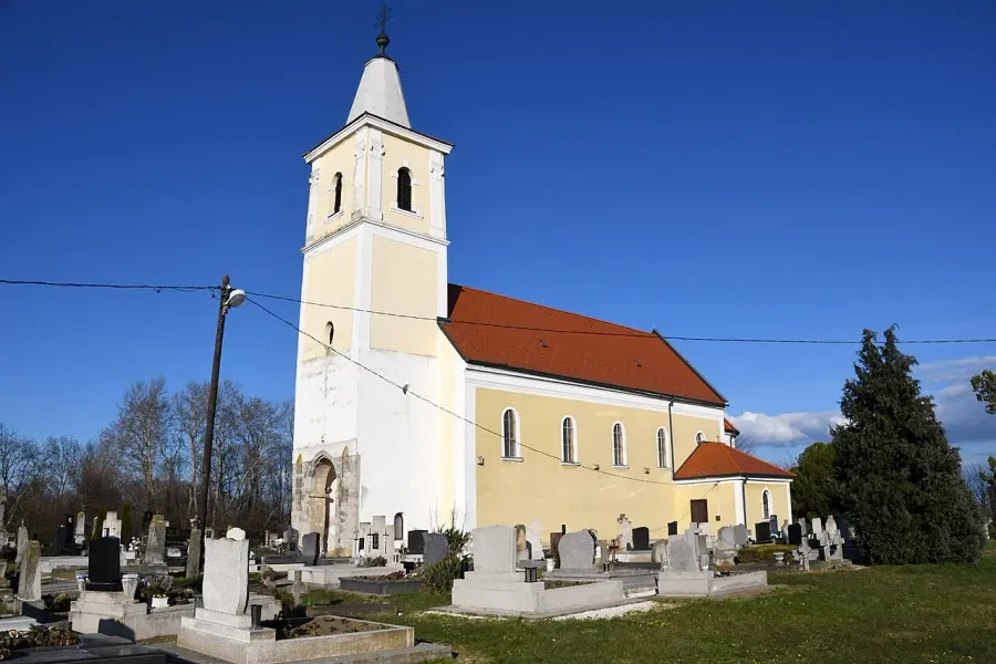 The Jákfa card