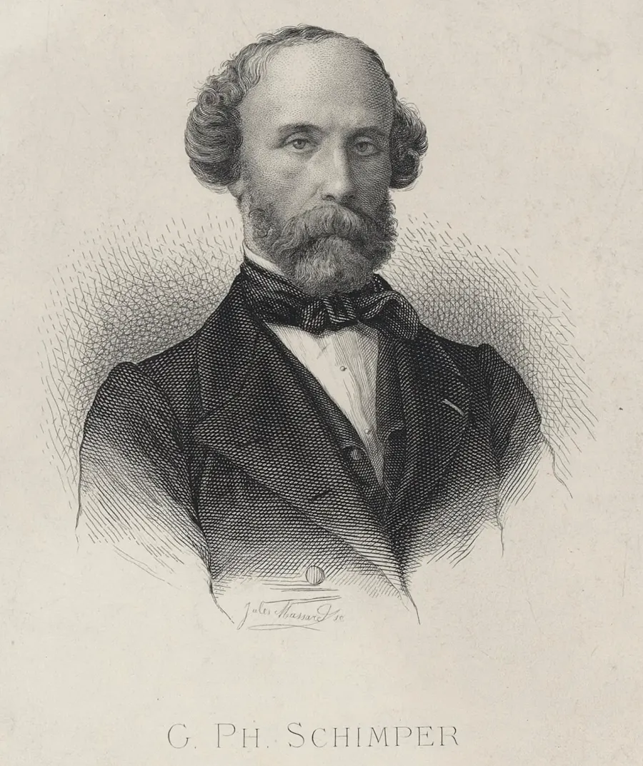 La carte Guillaume Philippe Schimper