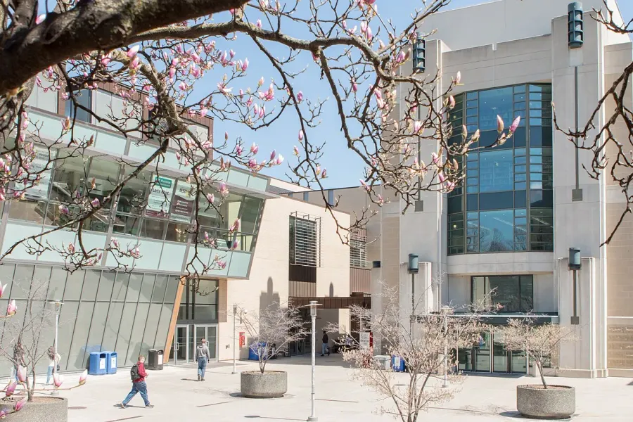The McMaster University card