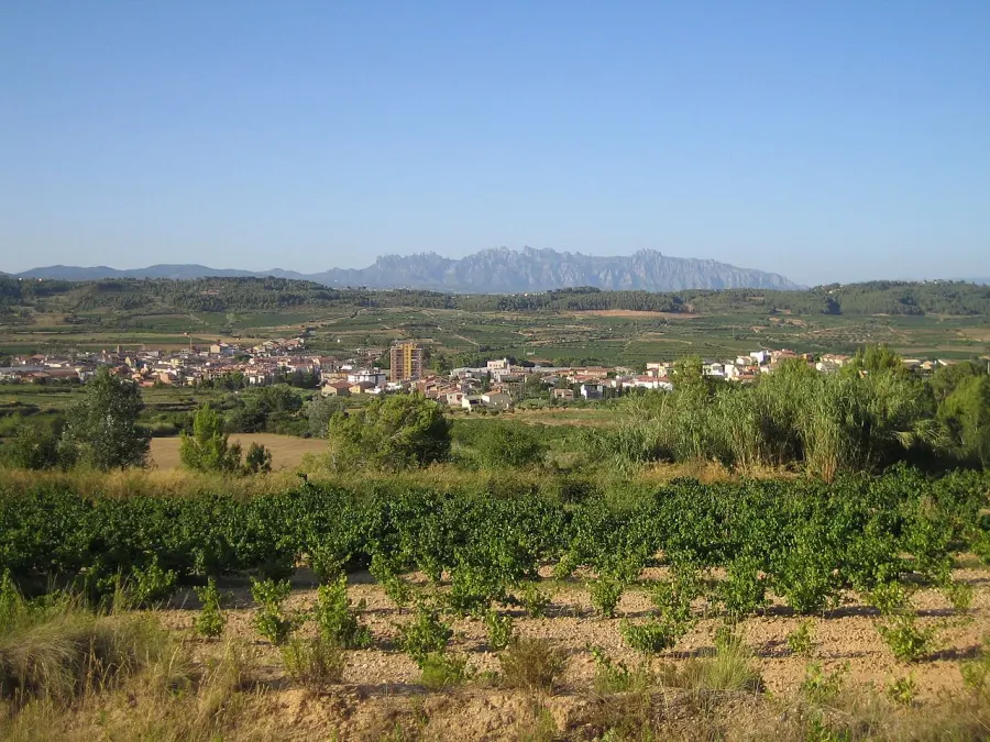 La carte Sant Pere de Riudebitlles