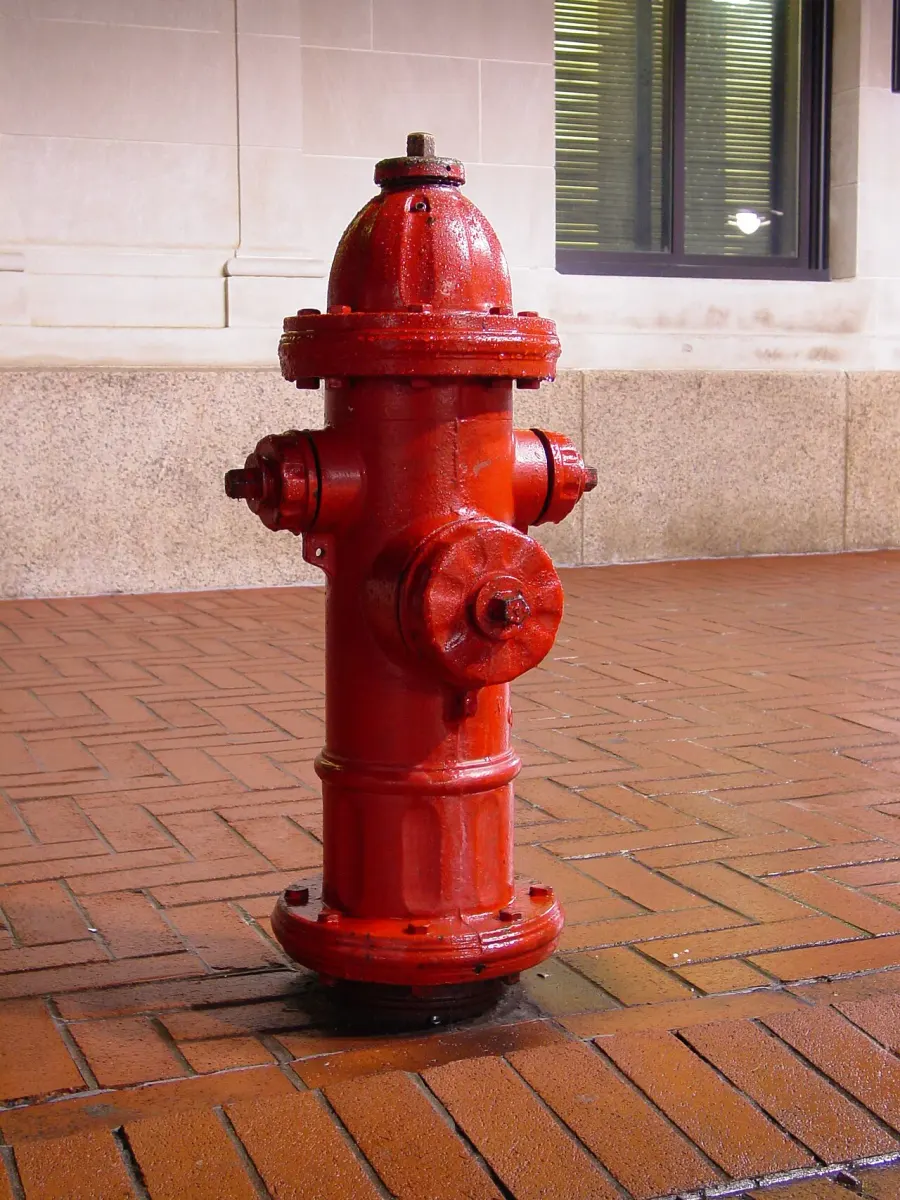 The Fire hydrant card