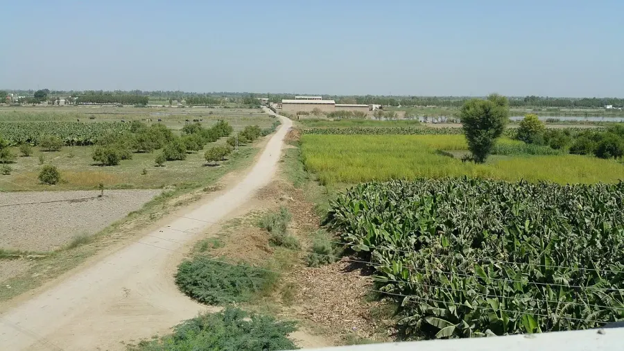 The Naushahro Feroze District card