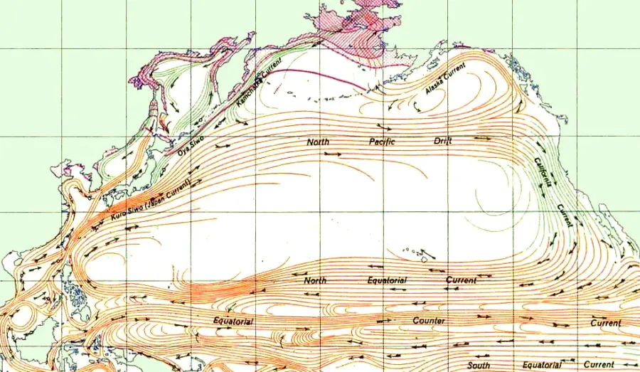 La carte Vortex de déchets du Pacifique nord