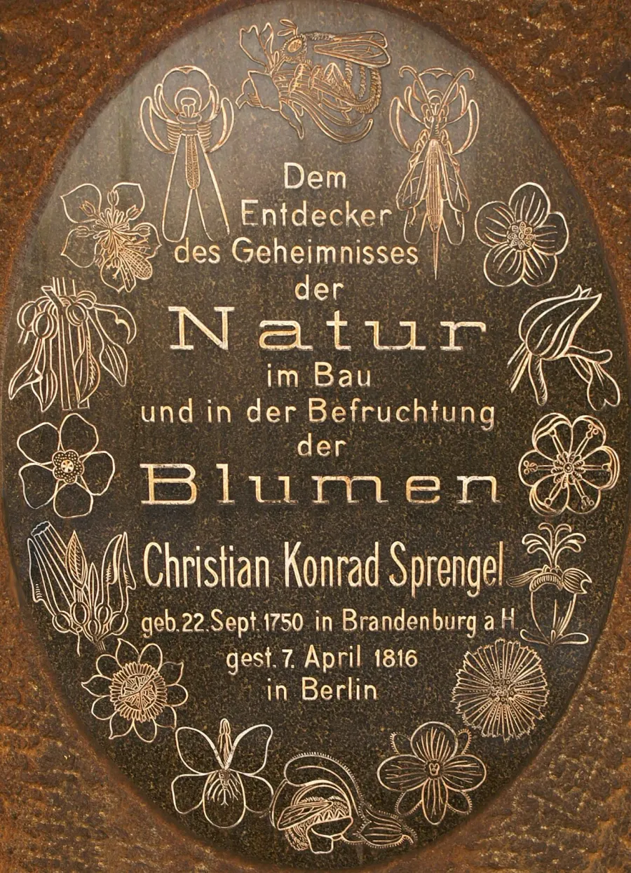 The Christian Konrad Sprengel card